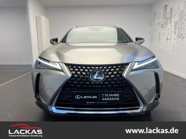 Lexus UX 250h