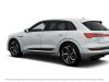 Audi e-tron 2021 Elektrisch