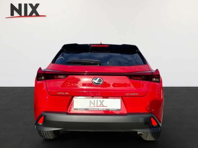 Lexus UX 250h