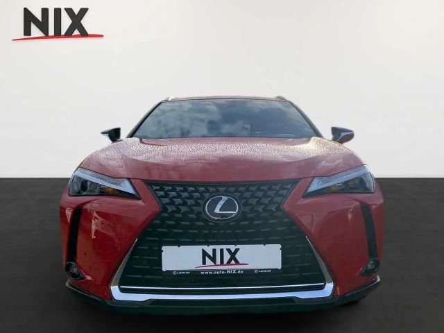 Lexus UX 250h