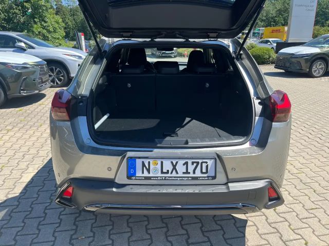 Lexus UX 300e