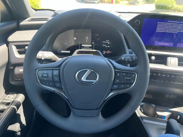 Lexus UX 300e