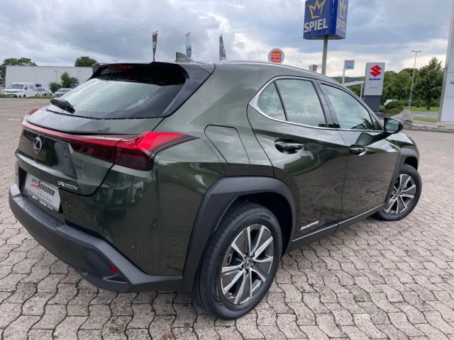 Lexus UX 300e