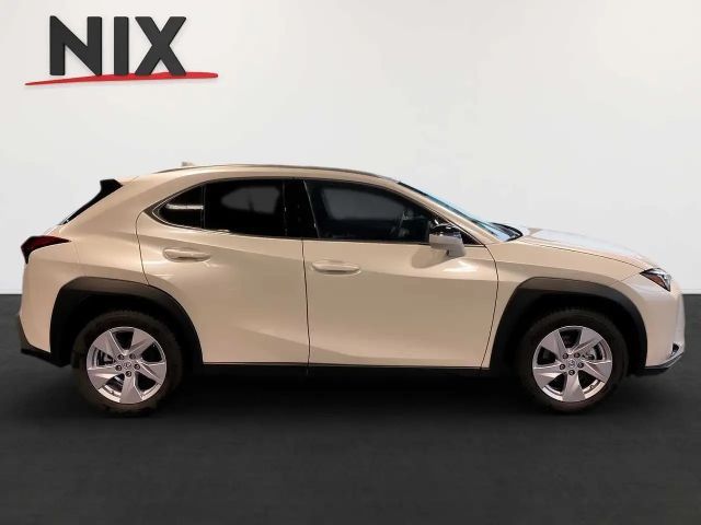 Lexus UX 250h