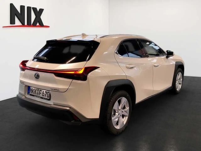 Lexus UX 250h