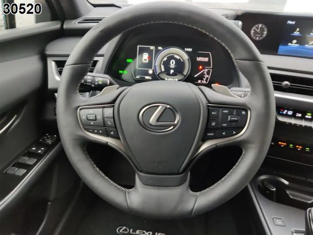 Lexus UX 300e