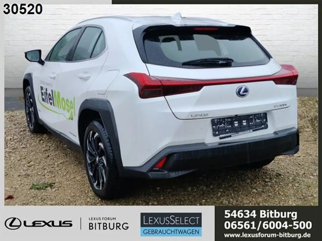 Lexus UX 300e