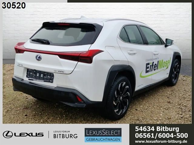 Lexus UX 300e