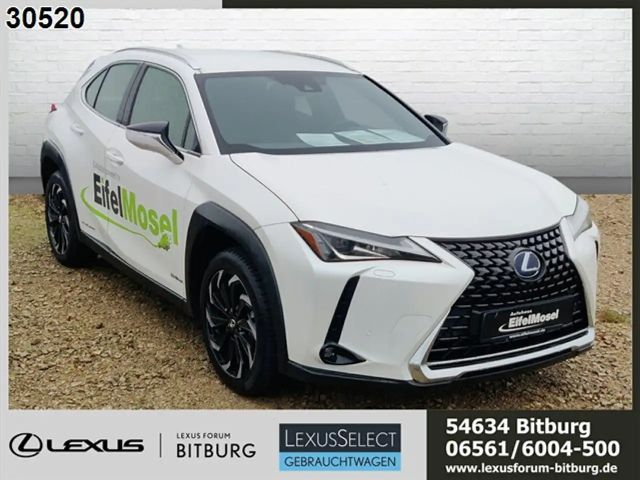 Lexus UX 300e