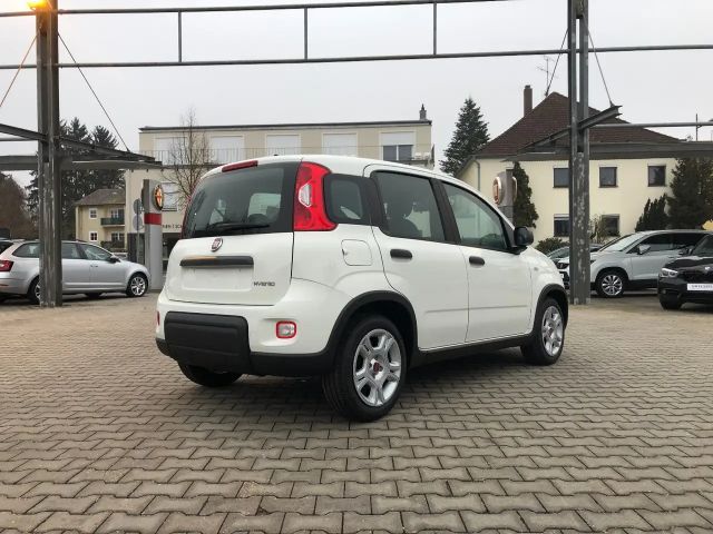 Fiat New Panda