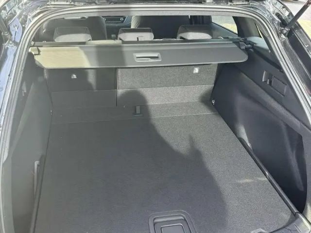 Suzuki Swace