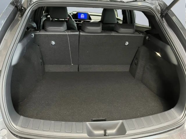 Lexus UX 300e