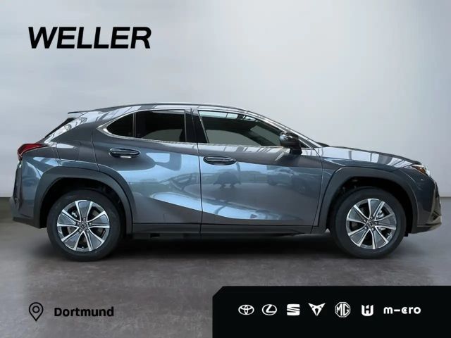 Lexus UX 300e