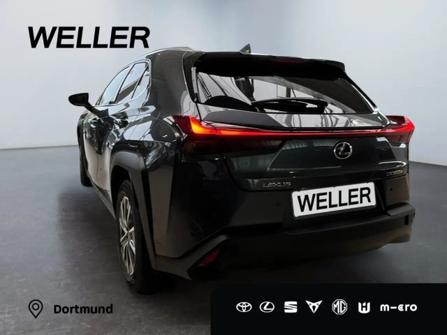Lexus UX 300e