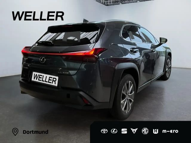 Lexus UX 300e