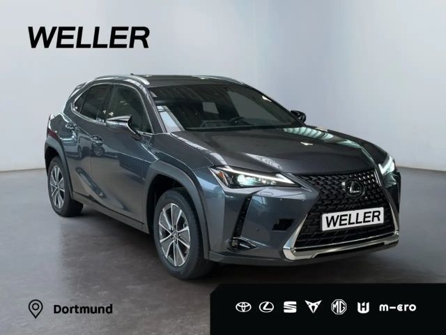 Lexus UX 300e