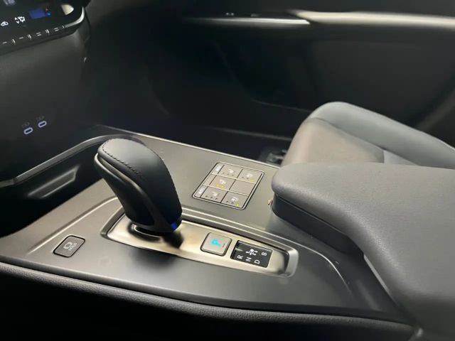 Lexus UX 300e