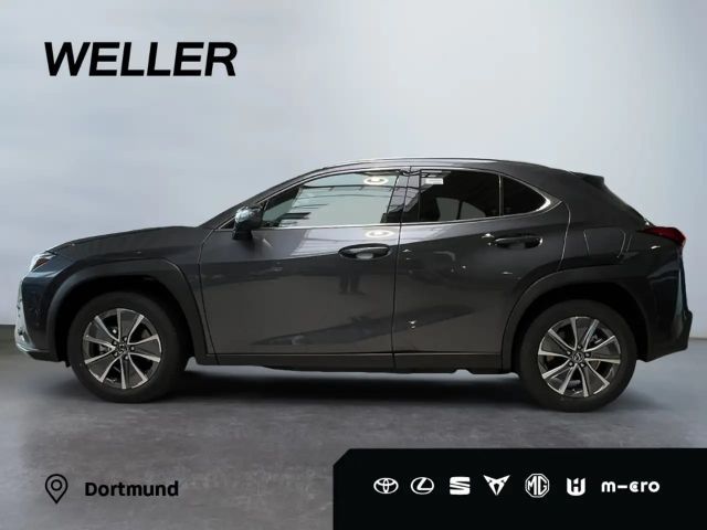 Lexus UX 300e