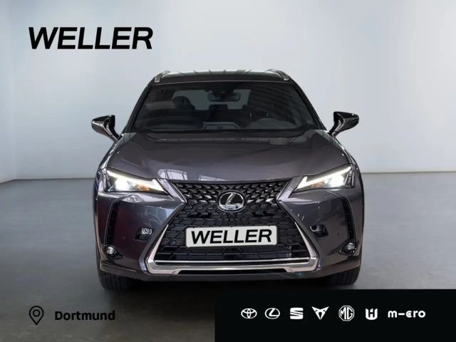Lexus UX 300e