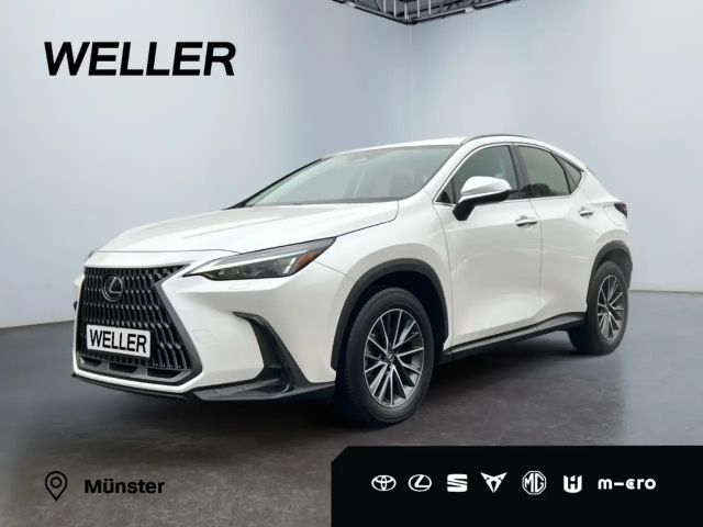 Lexus NX 350h 2023 Hybride / Benzine