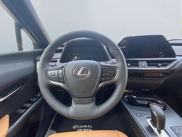 Lexus UX 300e