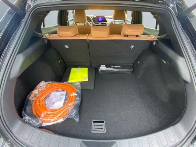 Lexus UX 300e