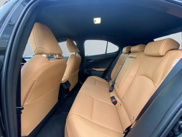 Lexus UX 300e