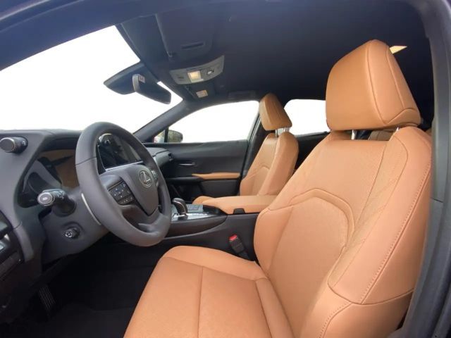 Lexus UX 300e