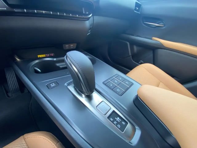 Lexus UX 300e