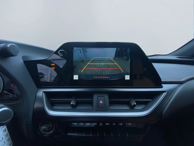 Lexus UX 300e