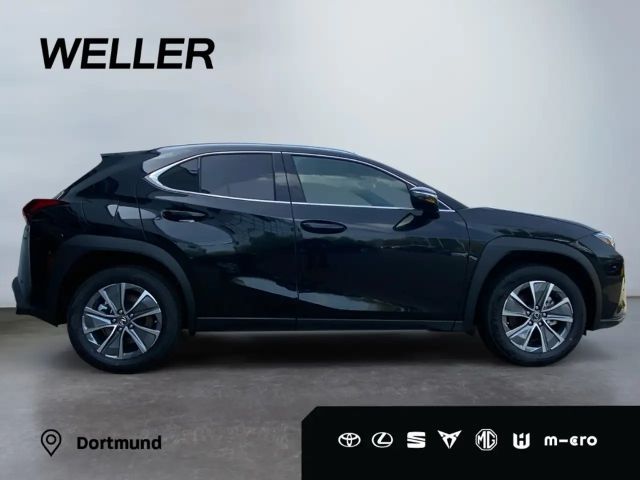 Lexus UX 300e