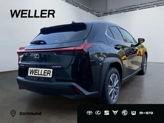 Lexus UX 300e