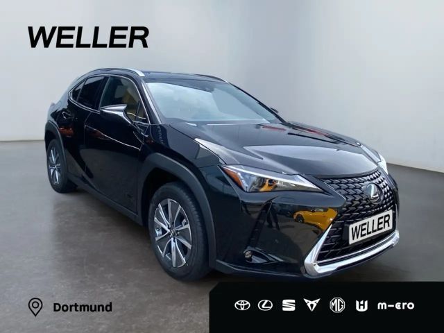 Lexus UX 300e
