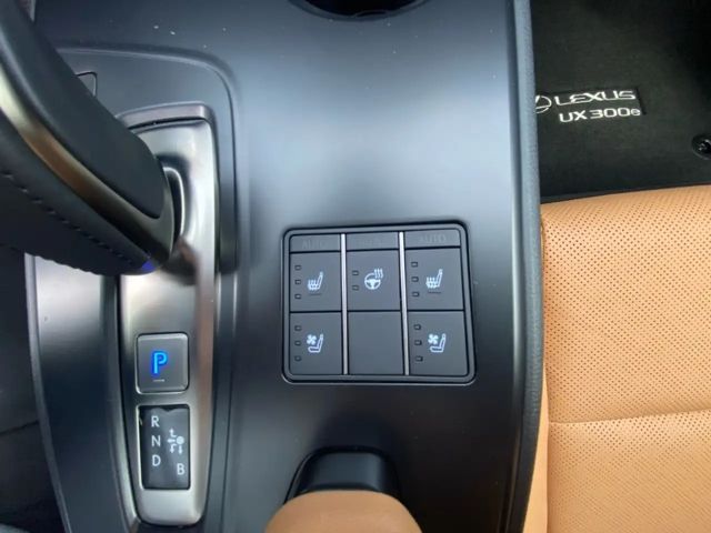 Lexus UX 300e