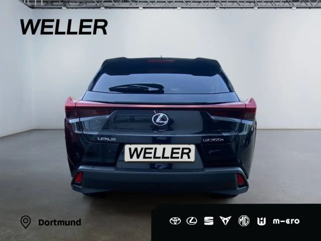 Lexus UX 300e