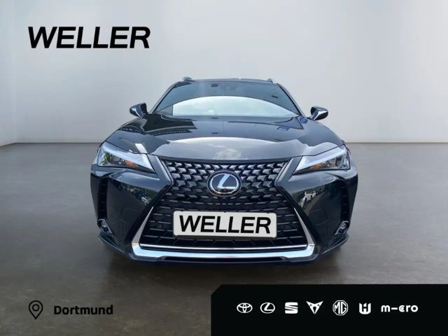 Lexus UX 300e