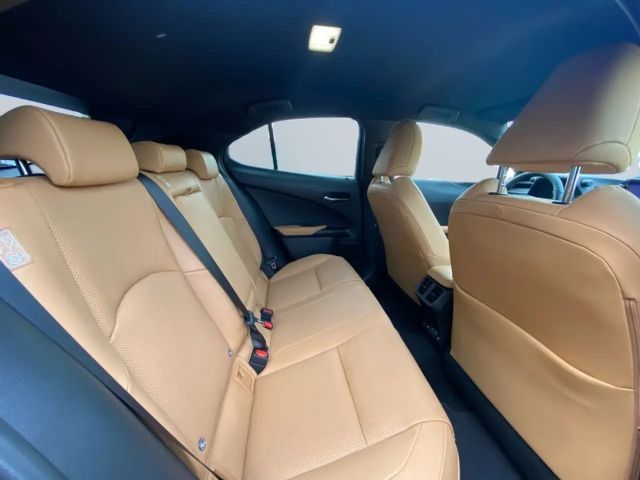 Lexus UX 300e