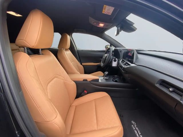 Lexus UX 300e
