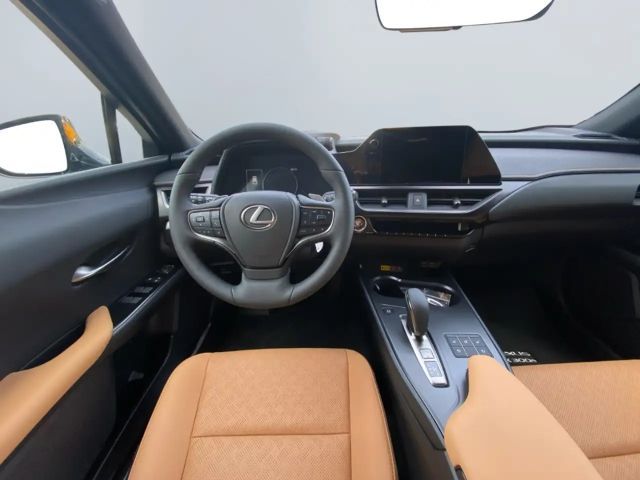 Lexus UX 300e