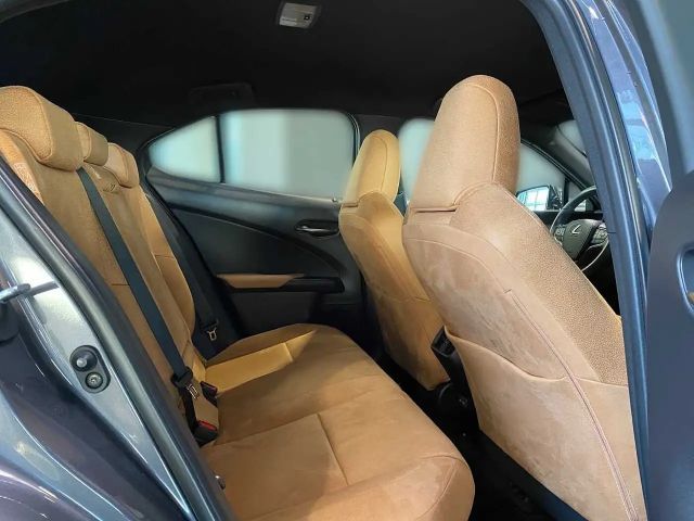 Lexus UX 250h