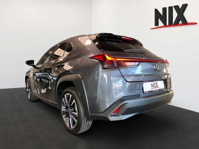Lexus UX 250h