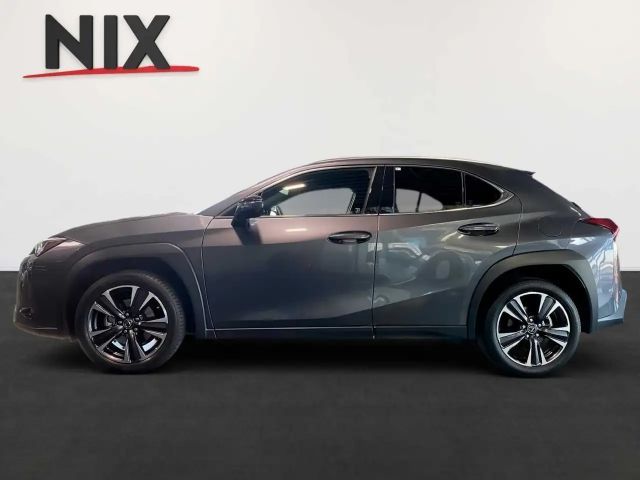 Lexus UX 250h
