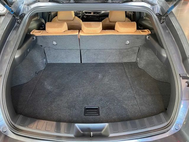 Lexus UX 250h
