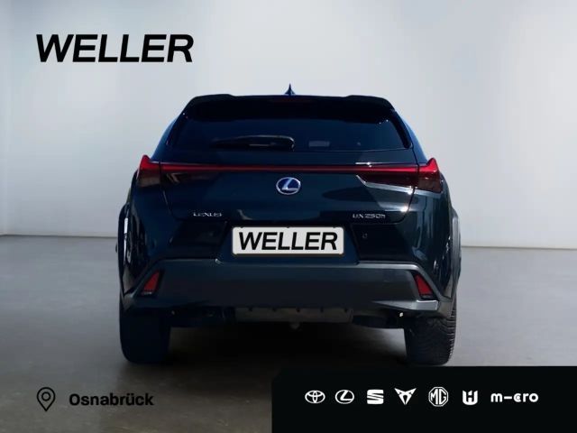 Lexus UX 250h
