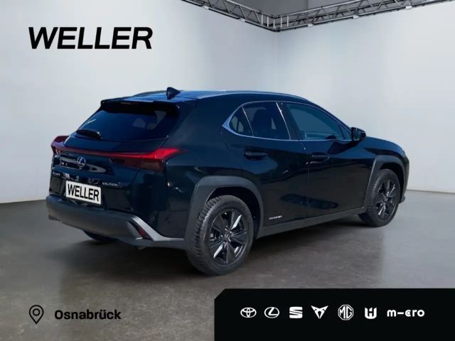 Lexus UX 250h