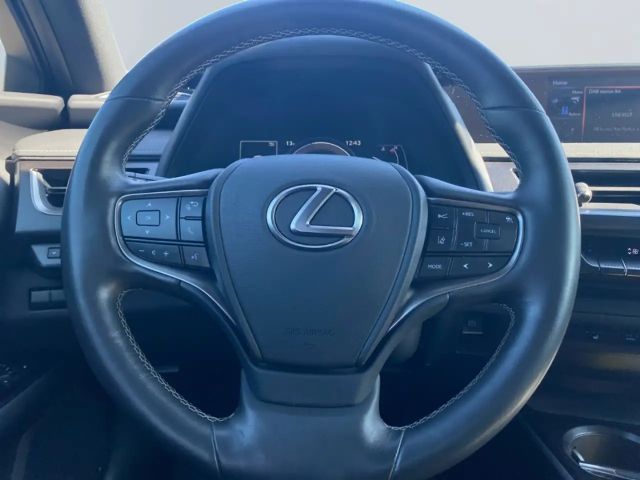 Lexus UX 250h