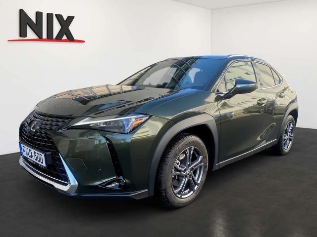 Lexus UX 250h 2024 Hybride / Benzine