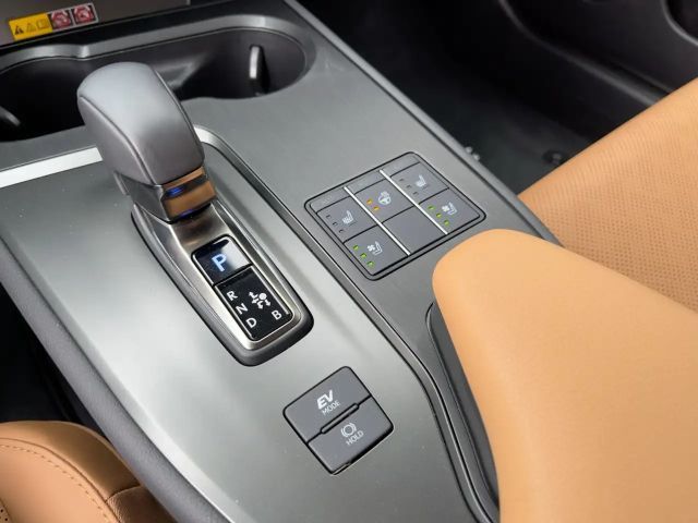 Lexus UX 300e