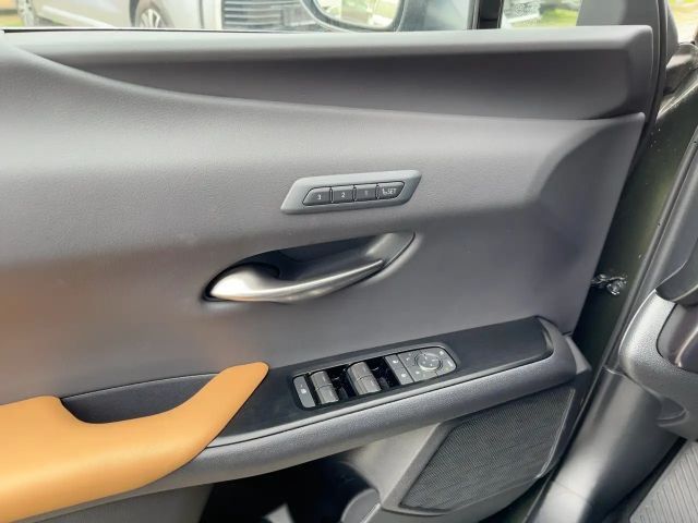 Lexus UX 300e
