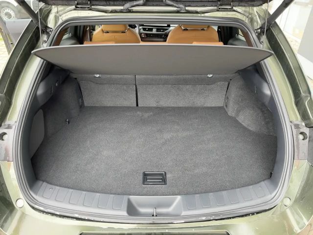 Lexus UX 300e